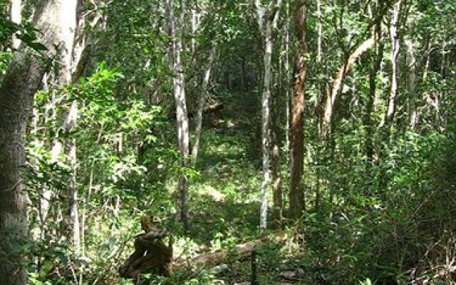 Quintana Roo National Park Campground & Hiking