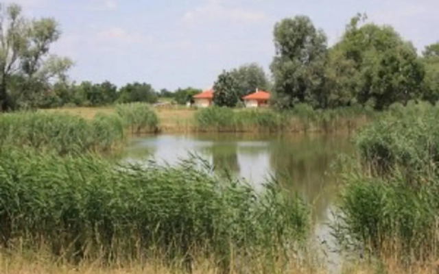 Pusztaeldorado