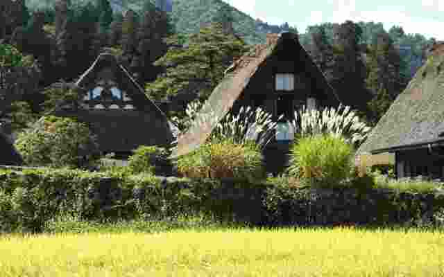 Minshuku Koshiyama