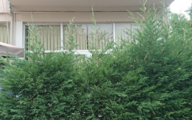 Kumbaz Apartment