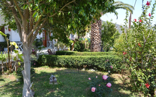 Dimitras House
