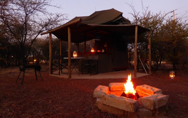 Thorn Tree Bush Camp
