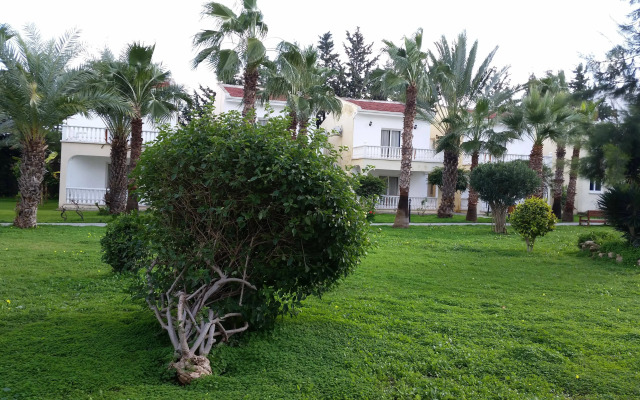Mountain View Hotel
