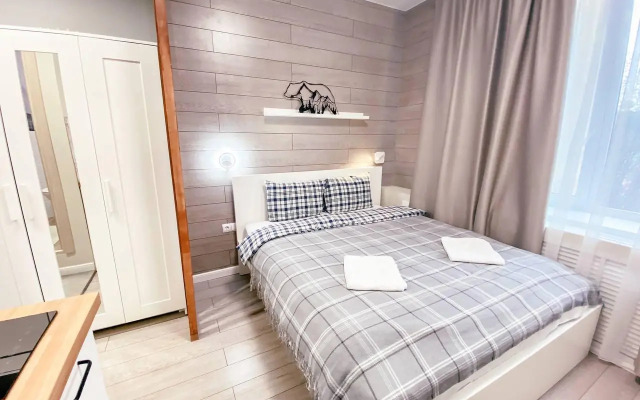 Арктик Хаус на улице Володарского 1