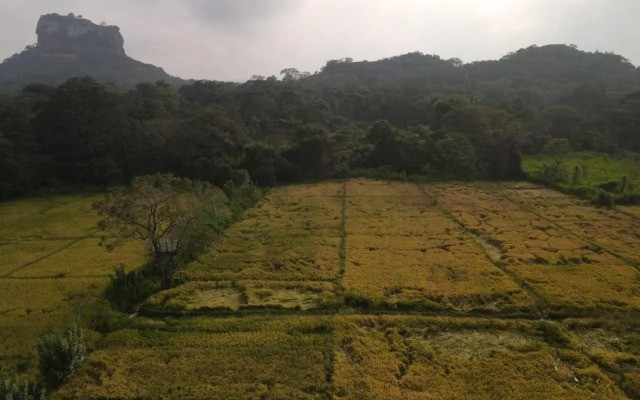 Sigiriya Paradise Inn