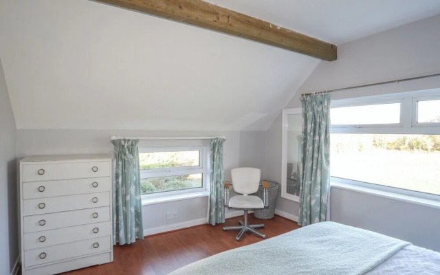 Oscar's Pad