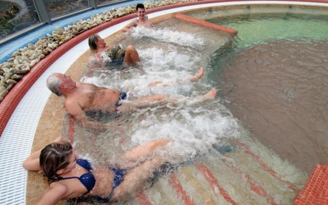 Flamingo Wellness