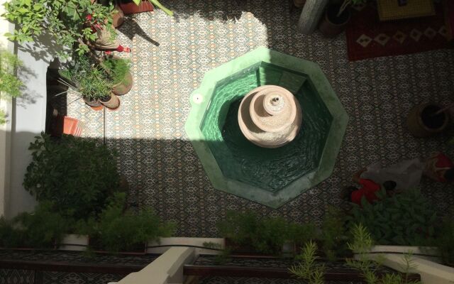 Abelia Riad