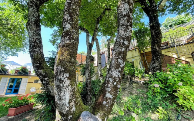 Spoleto Splash : Casetta/slps 4/5 Wifi/dishwasher - Beautiful Private Garden