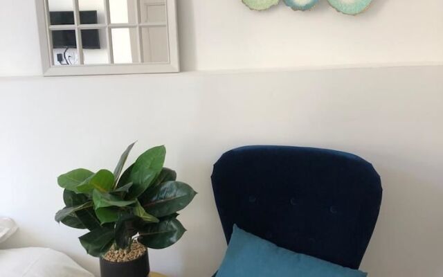 Appartements - Rue Alsace Lorraine
