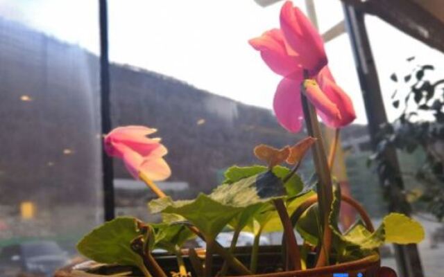 Huayu Nature Homestay (Siguniang Mountain Branch)