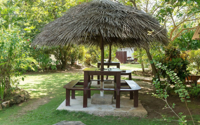Negril Yoga Centre