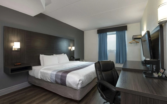 Comfort Hotel
