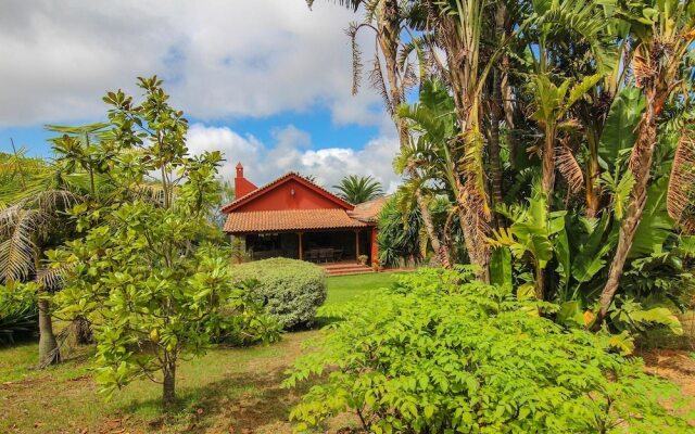 Live Tacoronte Aguagarcía