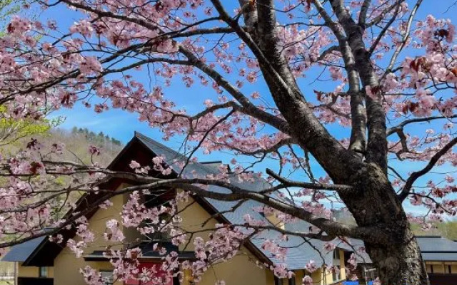 Azuki Onsen Kaboku No Yado