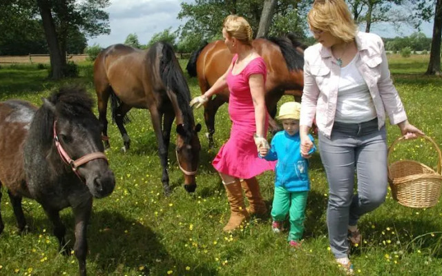 Pensjonat Stadnina Red Lion Farm