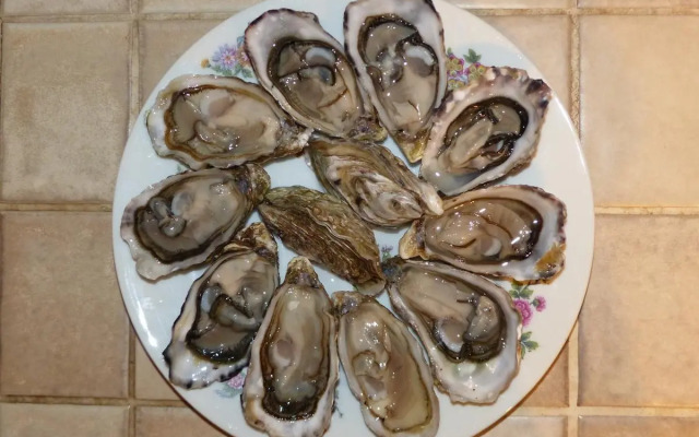 Résidence Rose Mousse