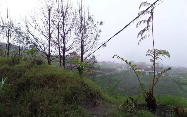 Pondok Wisata Adas