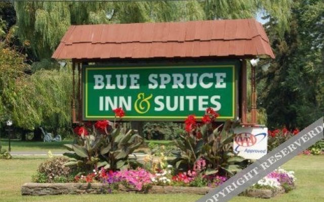 Blue Spruce Inn & Suites