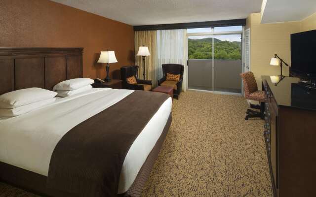 The Park Vista - a DoubleTree by Hilton Hotel - Gatlinburg