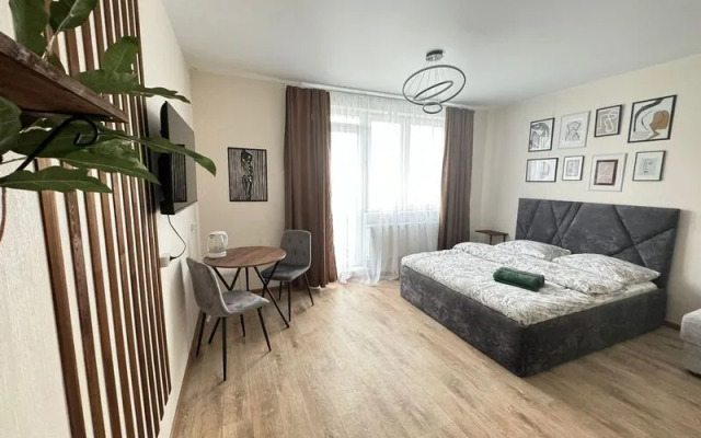 Апартаменты ДеньНочь на ул. Петра Подзолкова д. 24