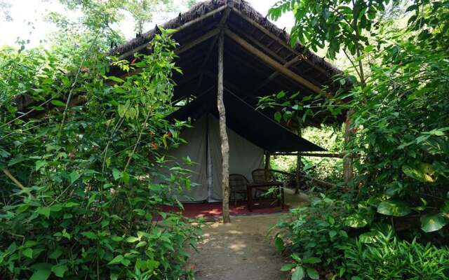 Tiger Tops Tharu Lodge