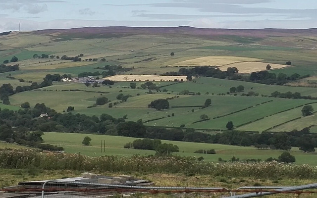 Newlands Hall B&B