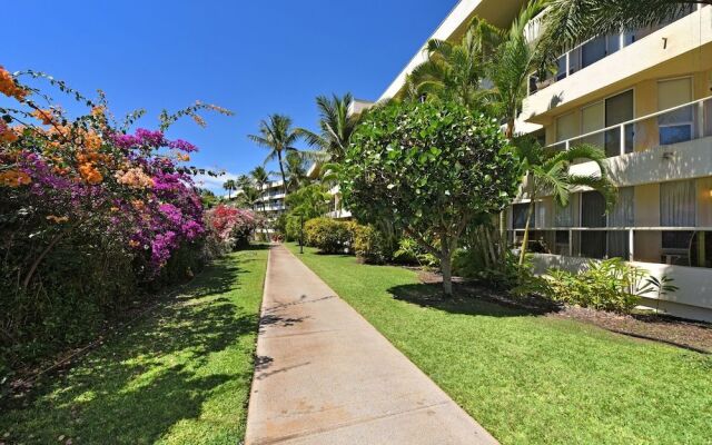 Maui Banyan Q204 by RedAwning