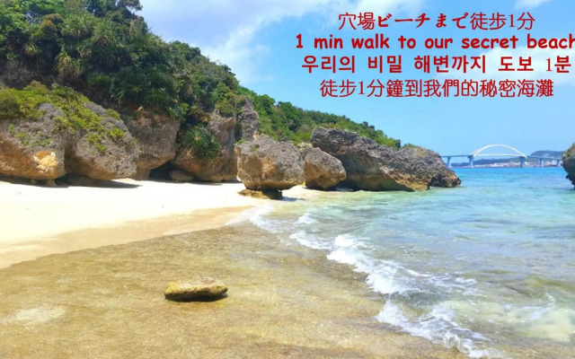 Papillon パピヨン