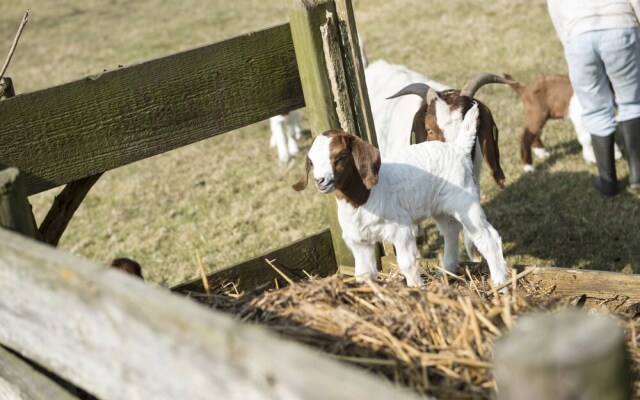 B&B Logeren bij van Heeren