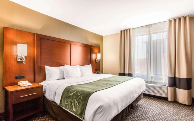 Comfort Suites Tuscaloosa near University