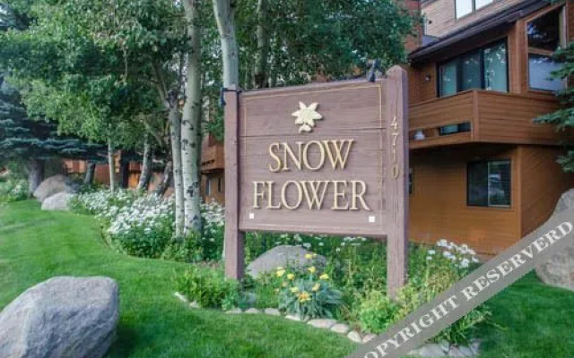 Snowflower At Mammoth Condominiums