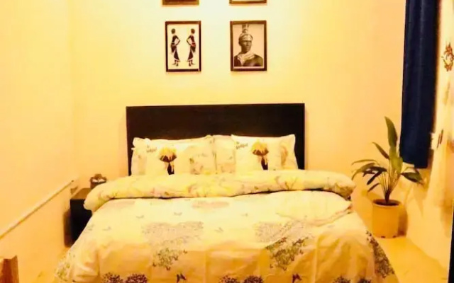 Mikocheni B-1BR affordable price