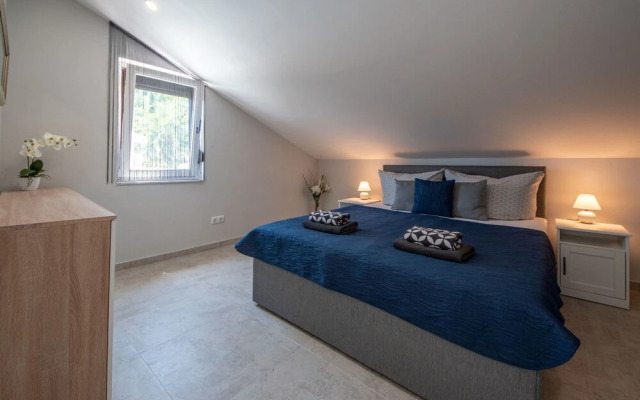 Laurus Tuli Evica in Tuli Evica