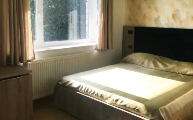 Shkreli Hotel Camp