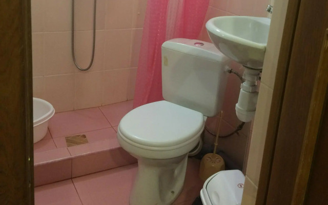 Ракушка Анапа