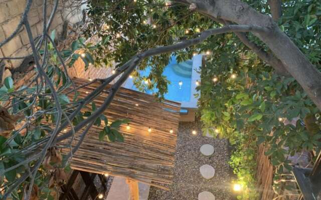 Hostel Boutique Musa Paradisiaca