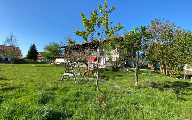 Alpinhotel INzeller
