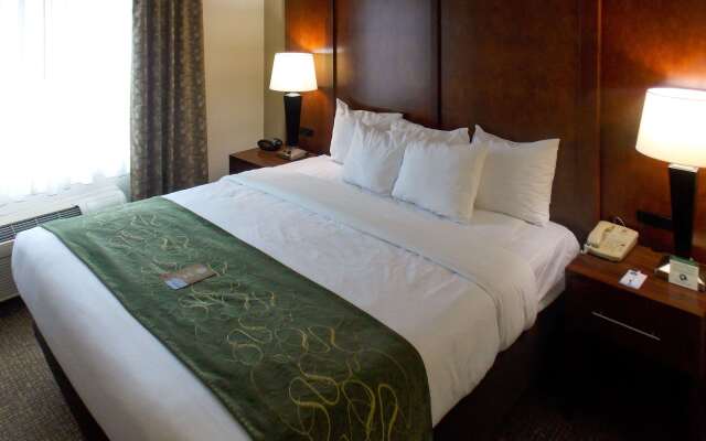 Comfort Suites Inn at Ridgewood Farm