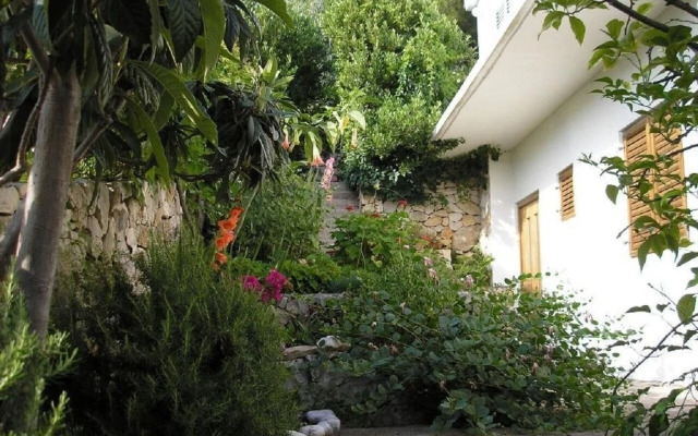 Zelko - With Garden - A2