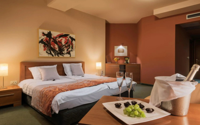 Hotel Arka