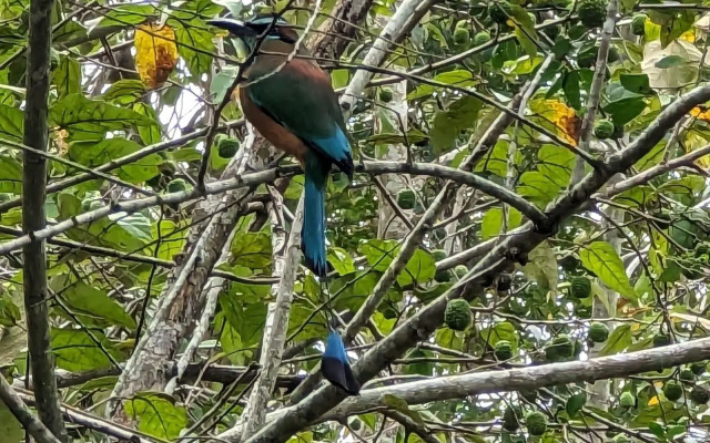 The Blue Eco Lodge - Adults only