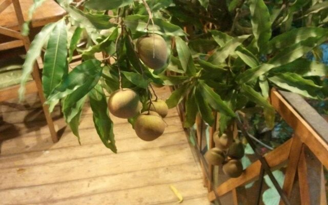 Hotel Mango Garden