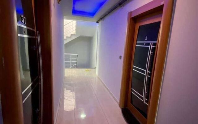 Palmiye Gold