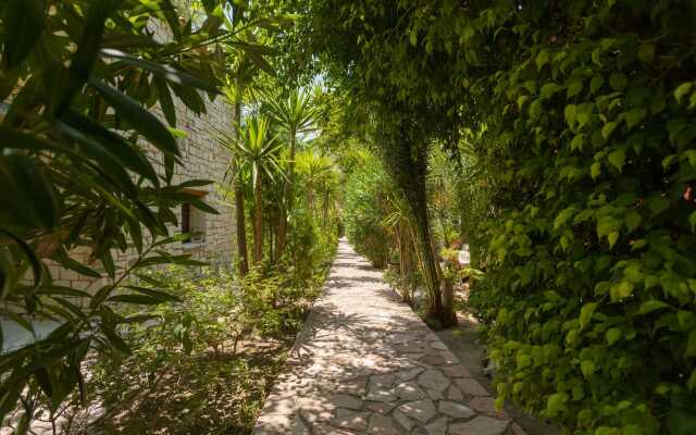 Garden of Eden Zante