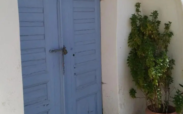 The large bougainvillea house