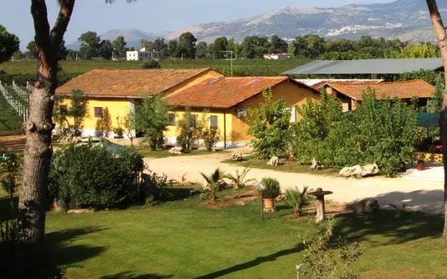 Agriturismo Ali e Radici