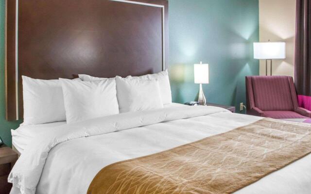 Comfort Inn & Suites San Marcos near Outlet Mall