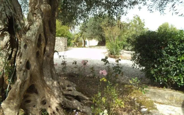 La Perla Villa