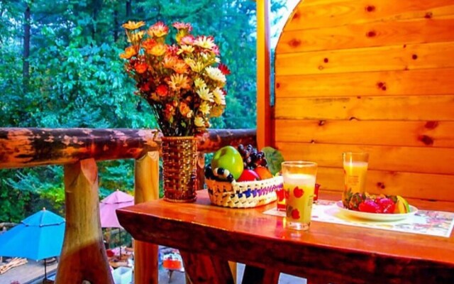 Gapyeong Spring Aroma Pension